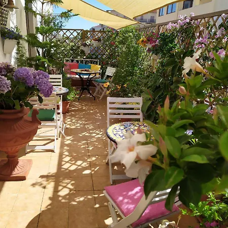 Roof Garden Αλγκέρο