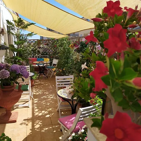 Roof Garden Αλγκέρο