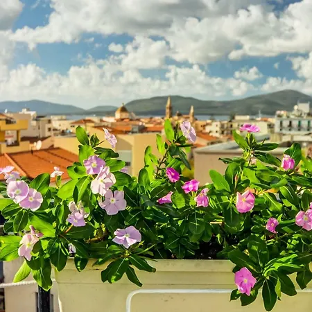 Roof Garden Bed and Breakfast